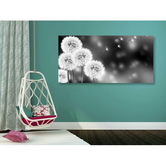 Kép bolyhos pitypangok fekete-fehér kivitelben