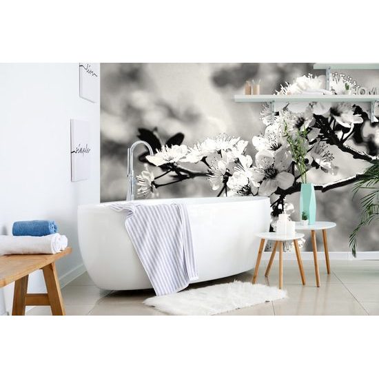 Öntapadó fotótapéta fekete-fehér cseresznyevirágok