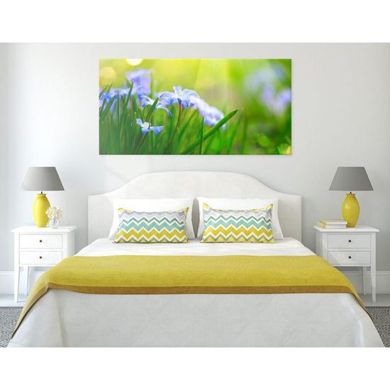 Kép réti virágok a zöld füvön