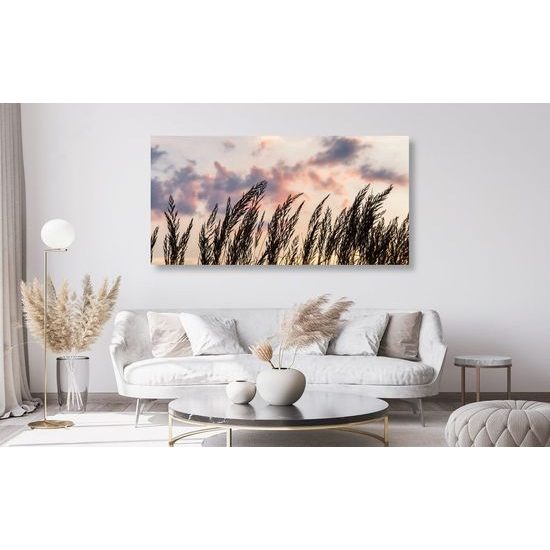 Kép mezei fű égbolt háttérrel