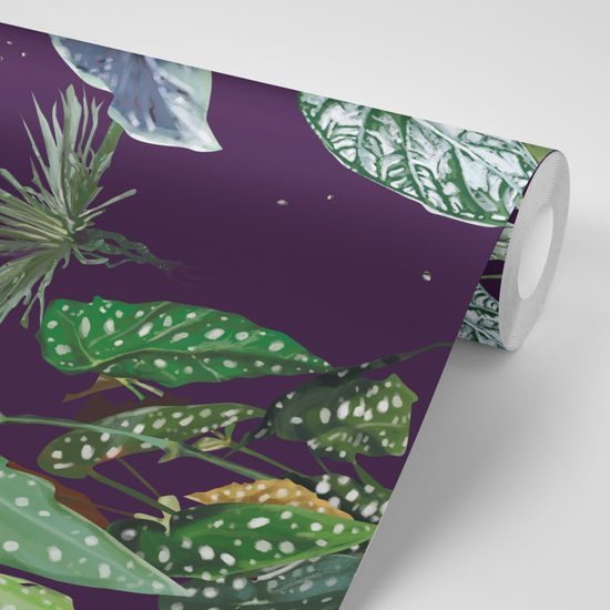 Öntapadó tapéta gyönyörű levelek sötétbe burkolózva