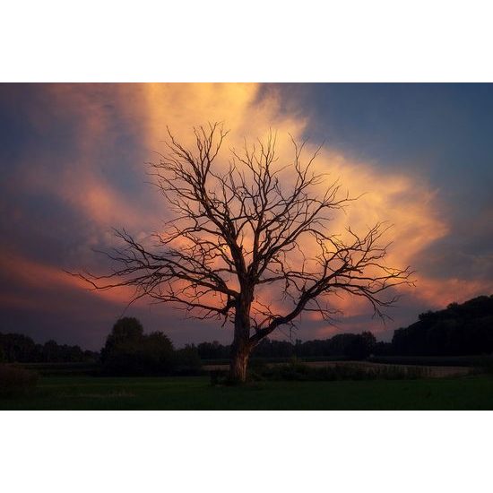 Fotótapeta a természet szépsége