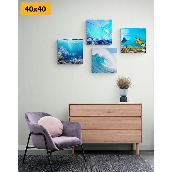 Képszett tengeri élet