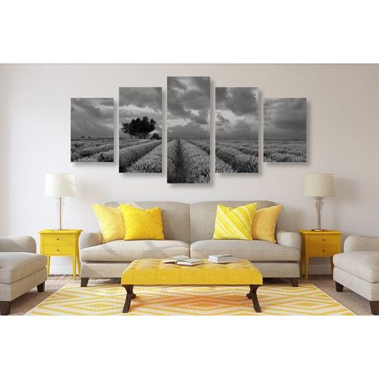 5 részes kép levendulákkal teli mező fekete-fehér kivitelben