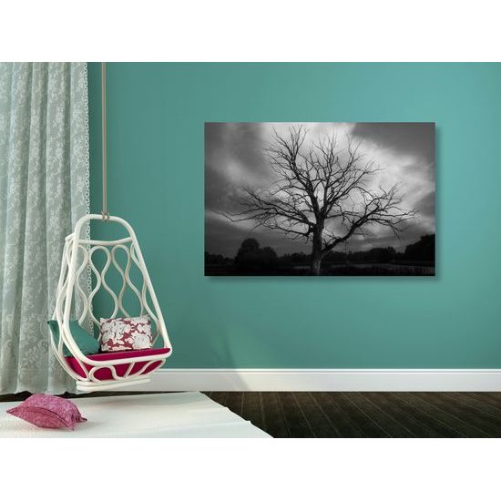 Kép fa csodálatos háttérrel fekete-fehér kivitelben