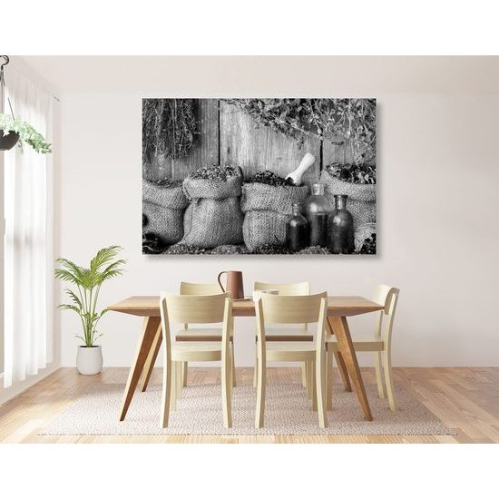 Kép mezei gyógynövények fekete-fehér kivitelben