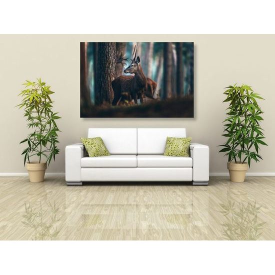 Kép fiatal szarvas az erdő közepén