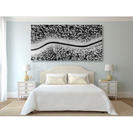 Kép út a havas erdőn át fekete-fehér kivitelben