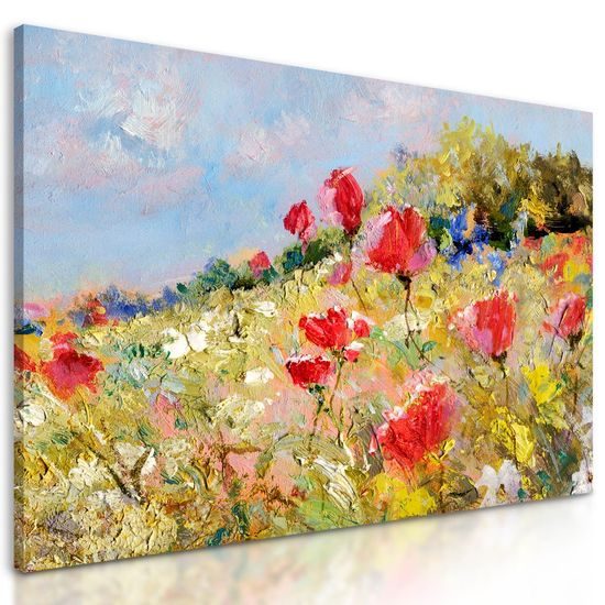 Kép vad pipacsok a réten