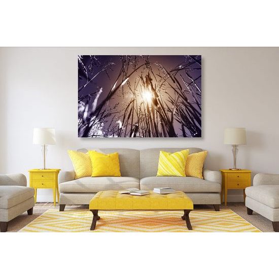 Kép rét művészi kivitelben