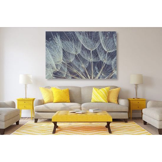 Kép pitypang részletei