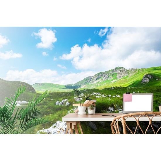 Öntapadó fotótapéta Montenegró vad természete