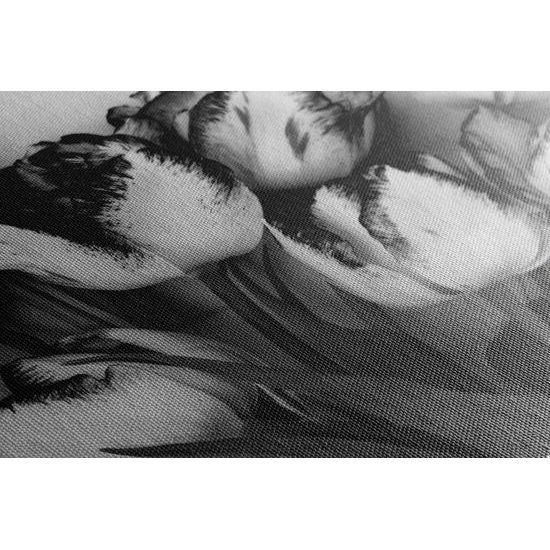 Kép tulipánok tavaszi árnyalatban fekete-fehér kivitelben