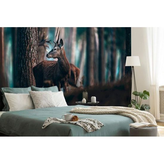 Öntapadó fotótapéta fiatal szarvas a fák között