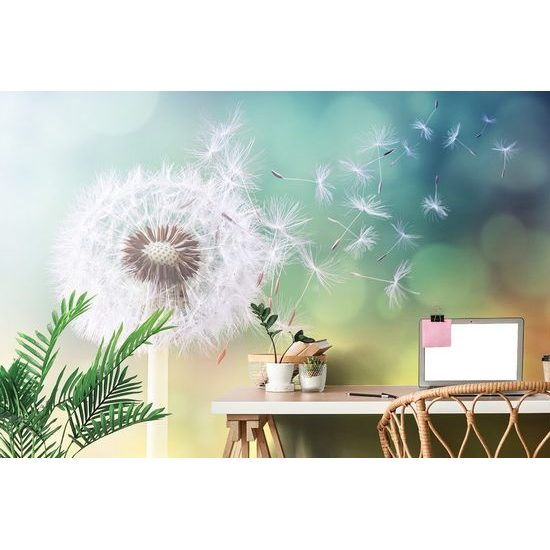 Öntapadó fotótapéta a pitypang érintése a széllel