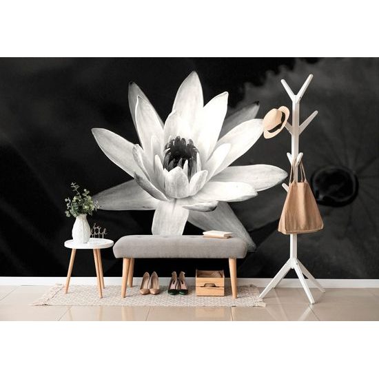 Fekete-fehér tavirózsa tapéta