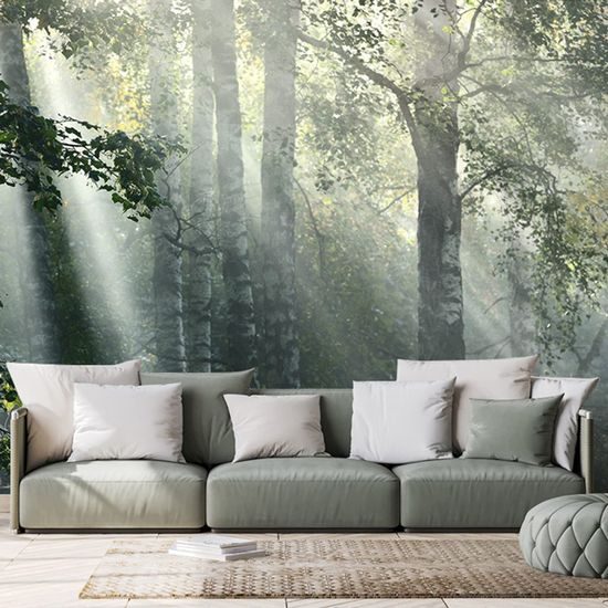 Öntapadó fotótapéta napsugarak az erdőben