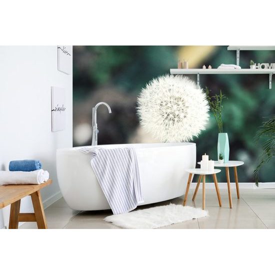 Öntapadó fotótapéta gyermekláncfű sapka