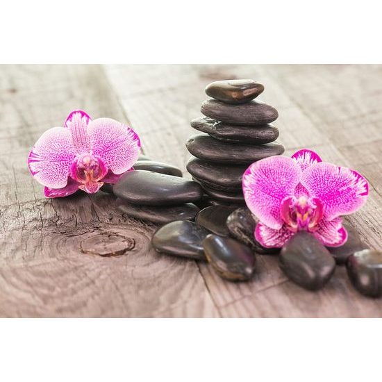 Tapéta orchidea és Zen kövek egy fából készült háttéren
