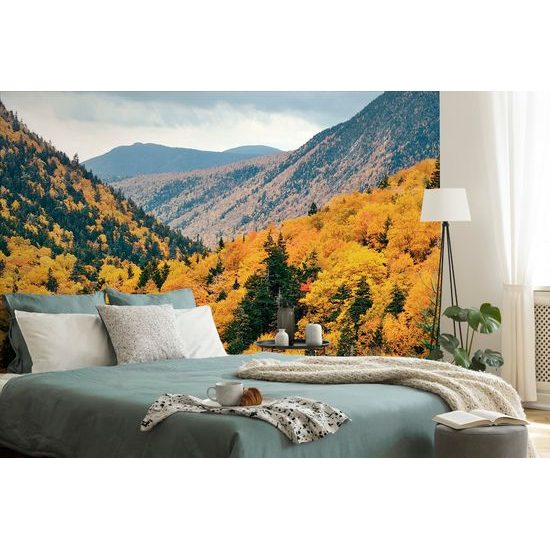 Bájos öntapadó fotótapéta őszi természet