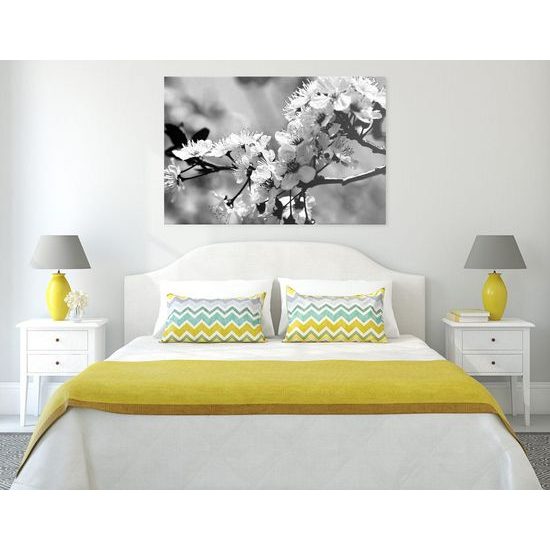 Kép gyönyörű virág fekete-fehér kivitelben