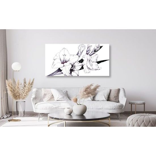 Kép kardvirág minimalista ábrázolása