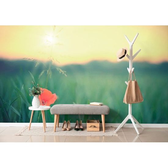 Öntapadó fotótapéta feltűnő mákvirág a fűben