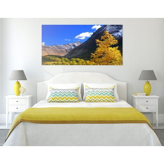 Kép természet egyensúlya