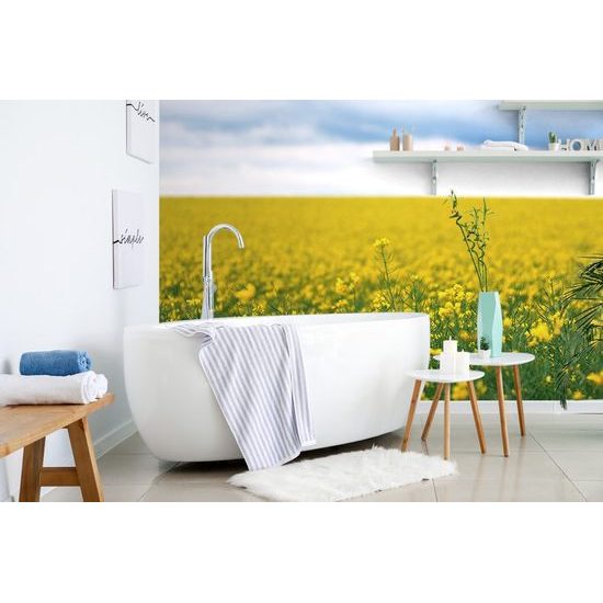 Repceföld öntapadó fotótapéta