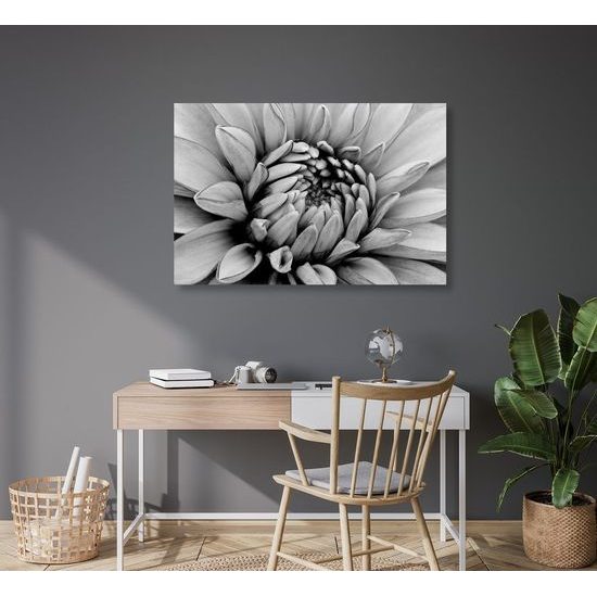 Kép dália virágának tökéletes részlete fekete-fehér kivitelben