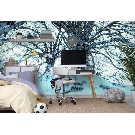 Tapéta a tél érintése