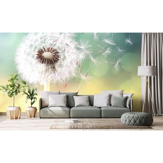 Öntapadó fotótapéta a pitypang érintése a széllel