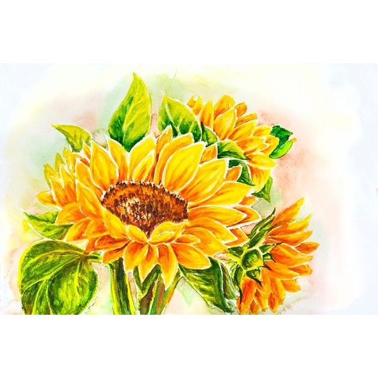 Gyönyörű napraforgó festmény öntapadó tapéta