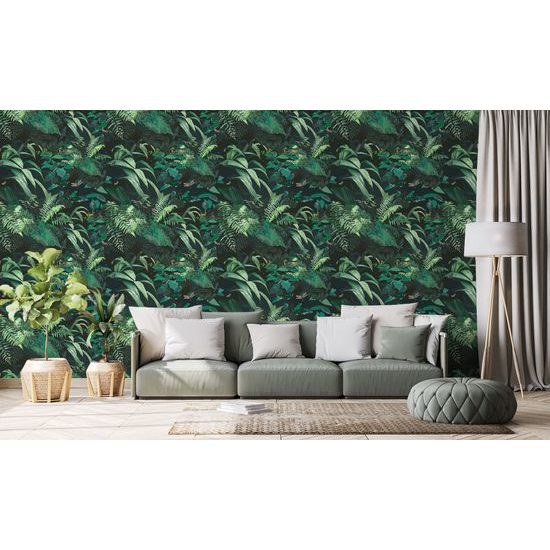 Tapéta gyönyörű trópusi erdő