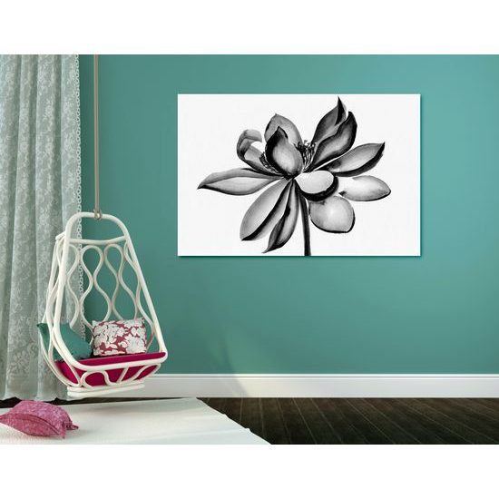 Kép akvarell lótuszvirág fekete-fehér kivitelben