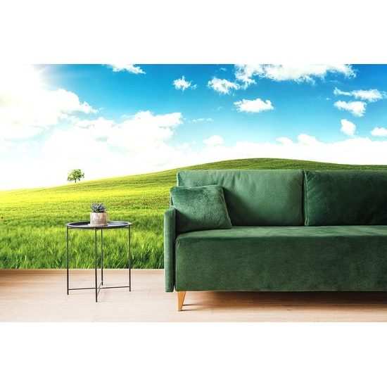 Fotótapéta gyönyörű rét