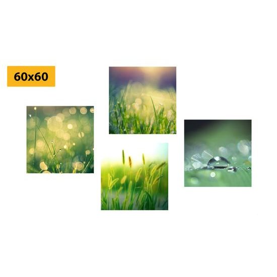 Képszett reggeli lágy harmat