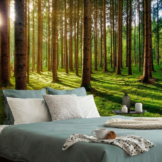 Öntapadó fotótapéta a reggeli erdő varázsa