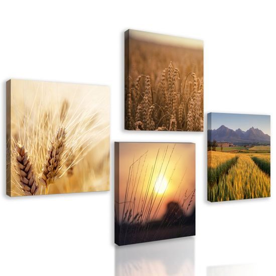 Képszett arany gabonaföldek