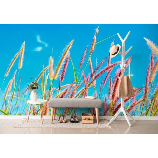 Öntapadó tapéta fű szállak az ég alatt