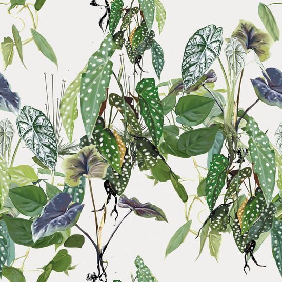 Öntapadó tapéta kecses trópusi levelek