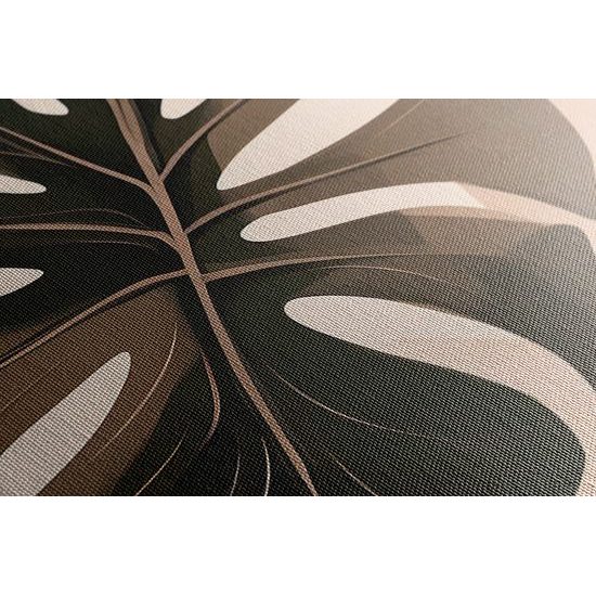 Kép absztrakt botanikus alakzatok monstera