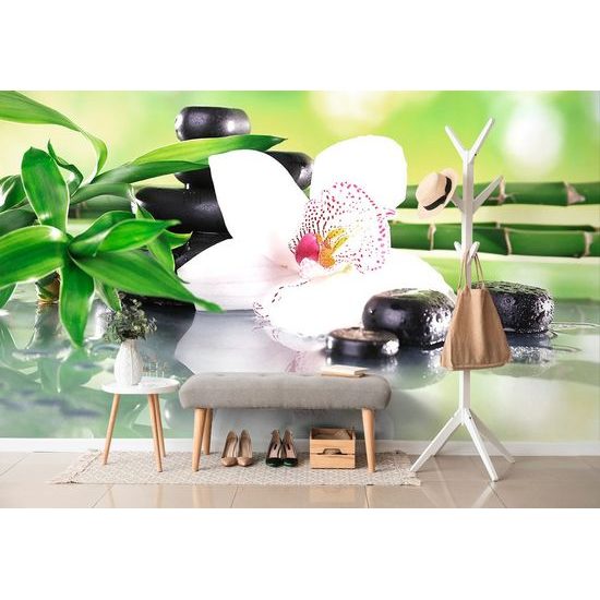 Fotótapéta harmonikus csendélet orchideával