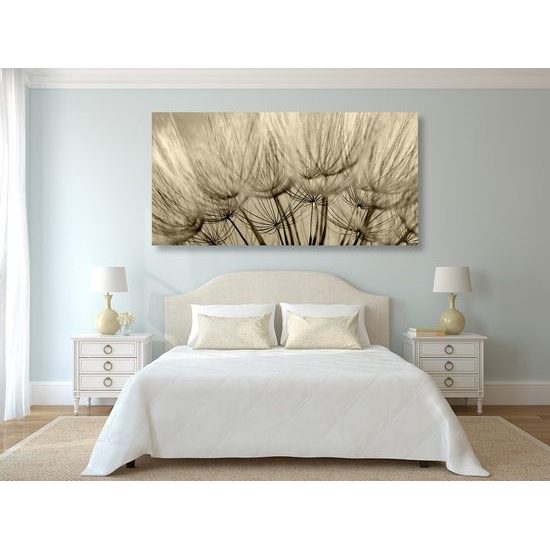 Kép pitypang pontos részletei szépia kivitelben