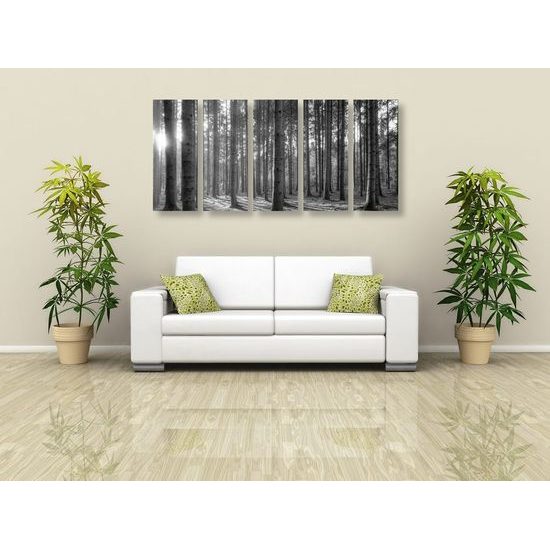 5 részes kép napsugarak a fák között fekete-fehér kivitelben