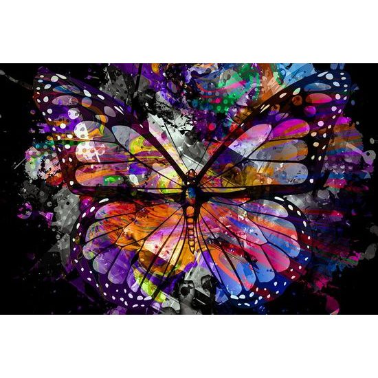 Kép sokszínű pillangó