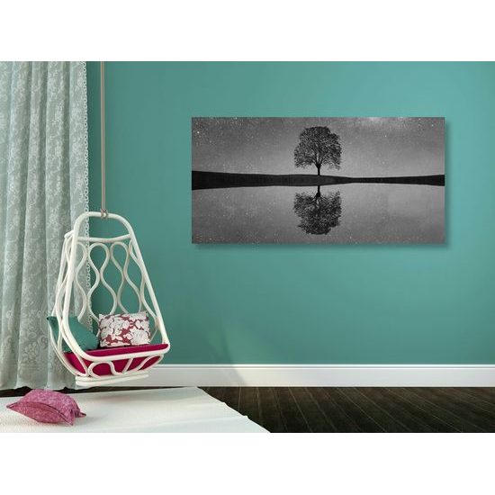 Kép csillagok tükröződése a tó felszínén fekete-fehér kivitelben