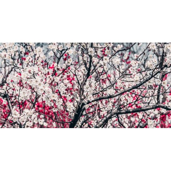 Kép csodálatos virágok piros-fehér kivitelben