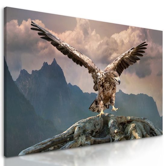 Kép impozáns sas a hegyek felett