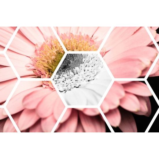 Tapéta modern kijelző gerberák